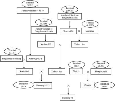 Germplasm Sources, Genetic Richness, and Population Differentiation of Modern Chinese Soybean Cultivars Based on Pedigree Integrated With Genomic-Marker Analysis